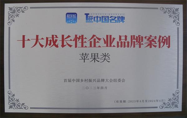 十大成長(zhǎng)性企業(yè)品牌案例（蘋(píng)果類(lèi)）