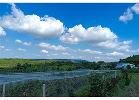 蘋(píng)果基地