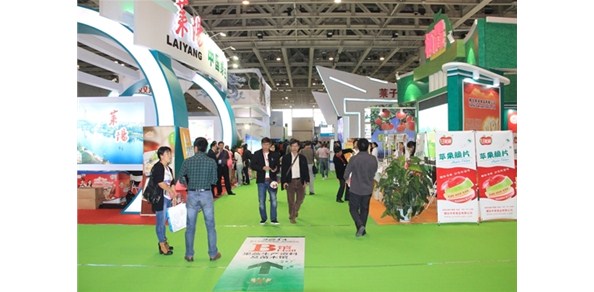 青島農大與棲霞市將合作設立蘋果產業(yè)發(fā)展研究院 