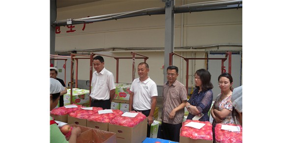 《綠色食品品質(zhì)、營業(yè)功能評價標(biāo)準(zhǔn)課題》調(diào)研在棲霞德豐開展